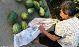 六盘水吃瓜最新事件爆料,揭秘背后惊人真相